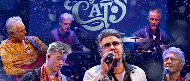 Story of The Cats Winter is here