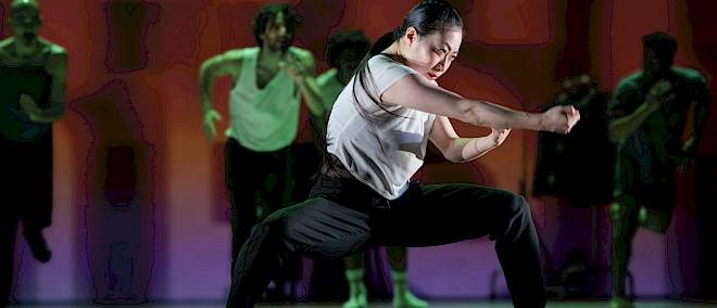 Conny Janssen Danst Instinct